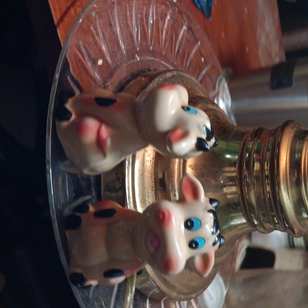 Cows! Saltshakers - Picture 3 of 4